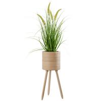 Kaspó Bamboo - natúr színű, fa (21,5/56cm) - Premium Living