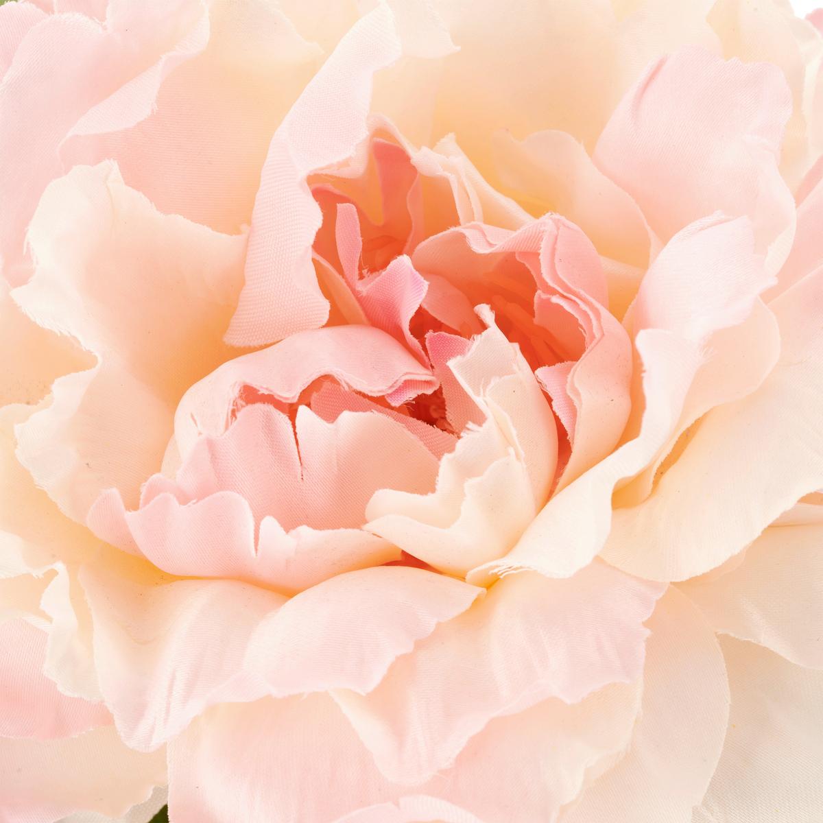 Pfingstrose Peonie-Mix-Bund Rosa ca. 80cm - Rosa/Grün, Basics, Kunststoff/Textil (80cm) - Mömax