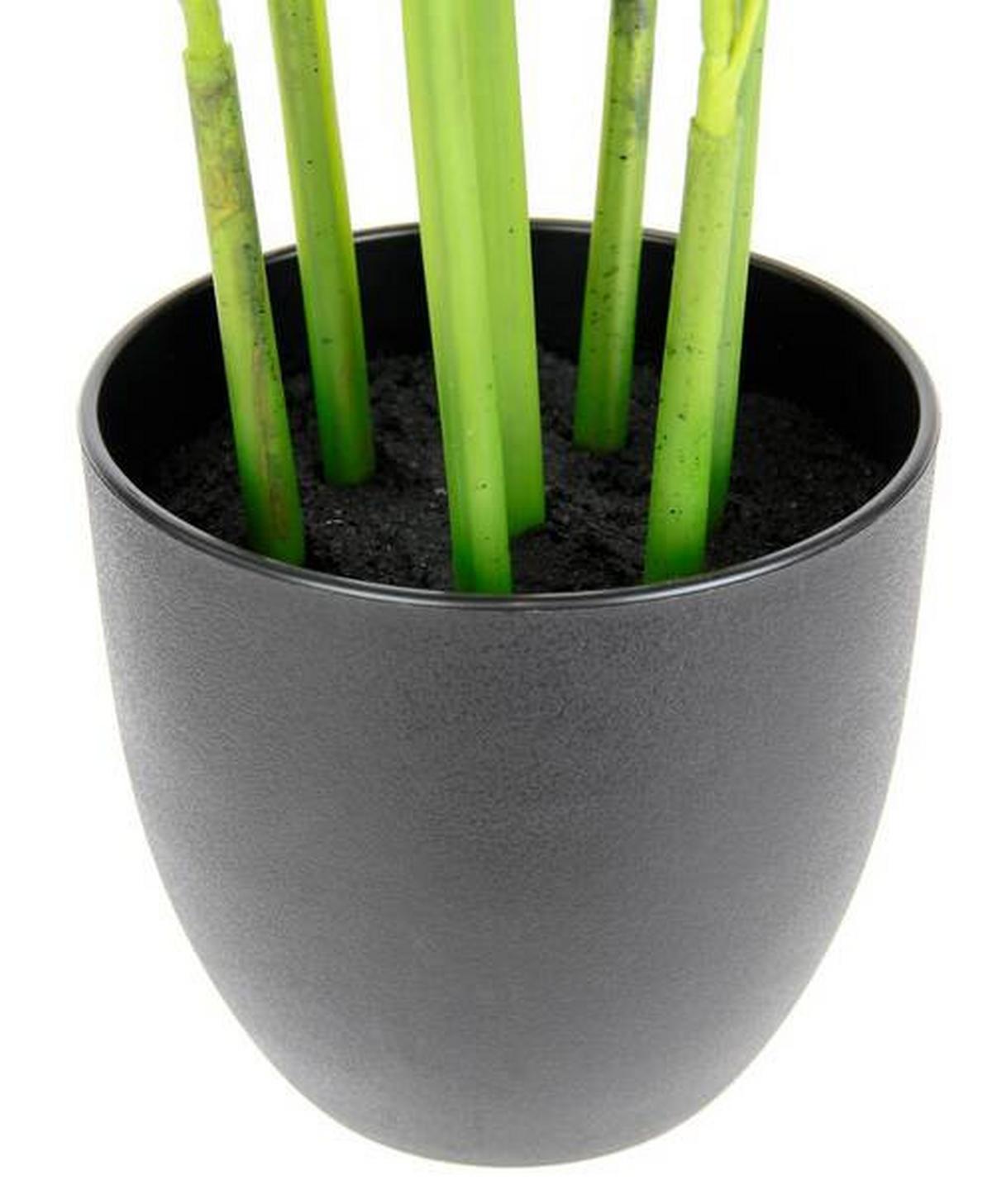 SZTUCZNA ROŚLINA 151558GN - zielony, Basics, tworzywo sztuczne/tkanina (80cm)