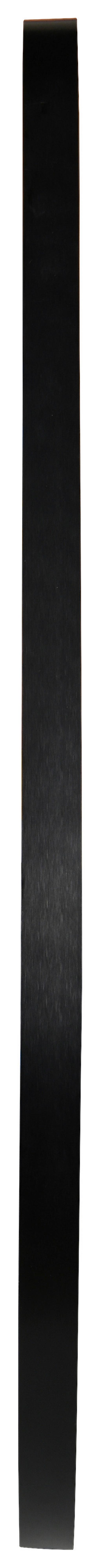 Fürdőszobatükör Frederike - fekete/ezüstszínű, Modern, üveg/fém (60/80/3cm)