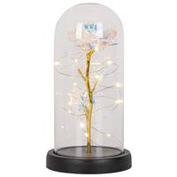 Okrasna Led-svetilka Flowi - črna/prosojno, Moderno, umetna masa (11/21cm) - Mömax