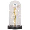 LED-DEKORATIONSLAMPA FLOWI - svart/transparent, Modern, plast (11/21cm) - Mömax