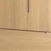 GARDEROB MARLO - ekfärgad, Modern, trämaterial/trä (100/223/60cm) - Bessagi Home