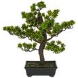 Kunstpflanze Bonsai Grün - Braun/Grün, Kunststoff (43 cmcm)