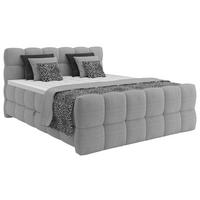 Boxspring Krevet Brisbane - svijetlo siva/crna, Trend, drvni materijal/drvo (180/200cm) - Premium Living