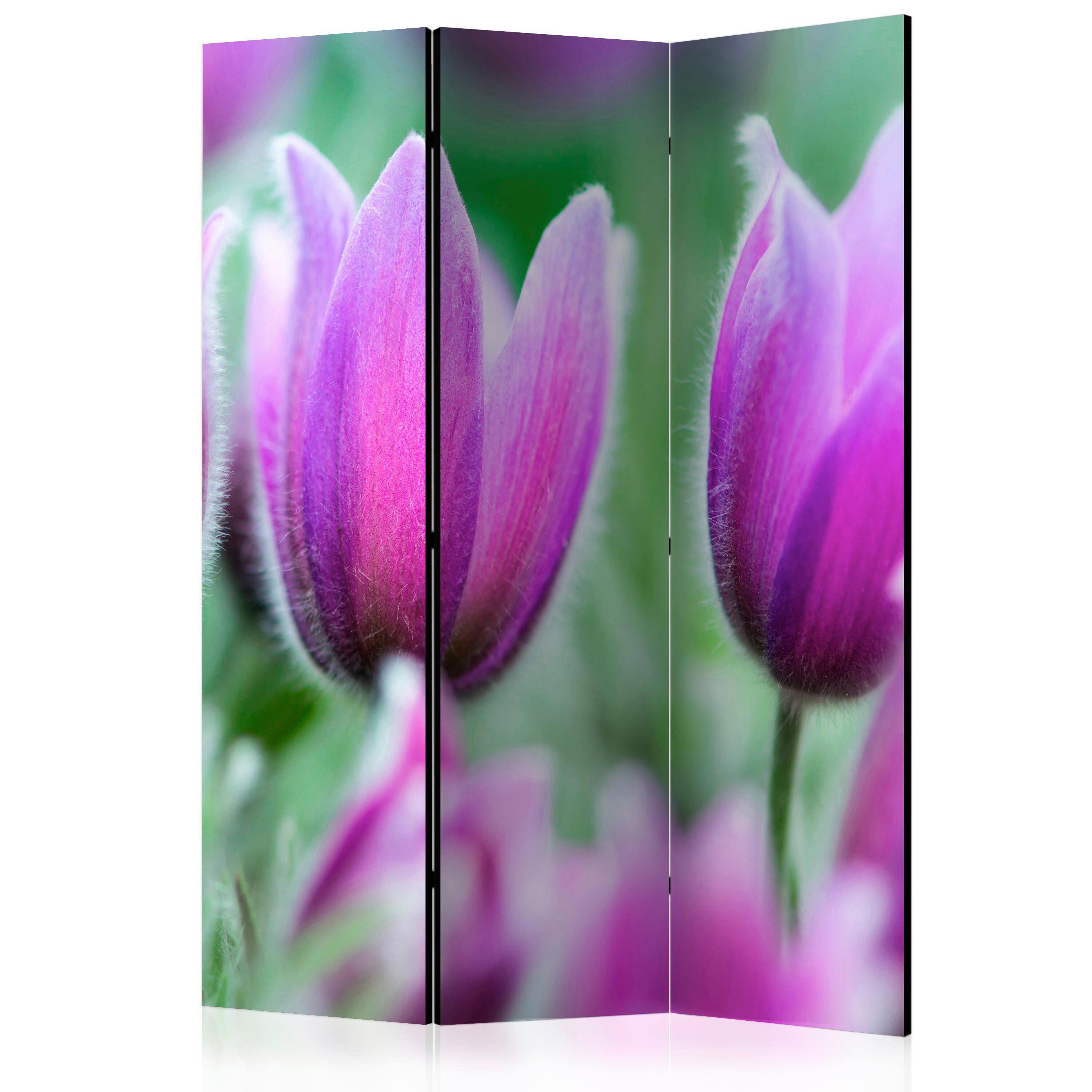 Paravan Purple Spring Tulips, 3-Delni, Dvostranski - vijolična/zelena, Basics, tekstil/les (135/172/3cm) - artgeist