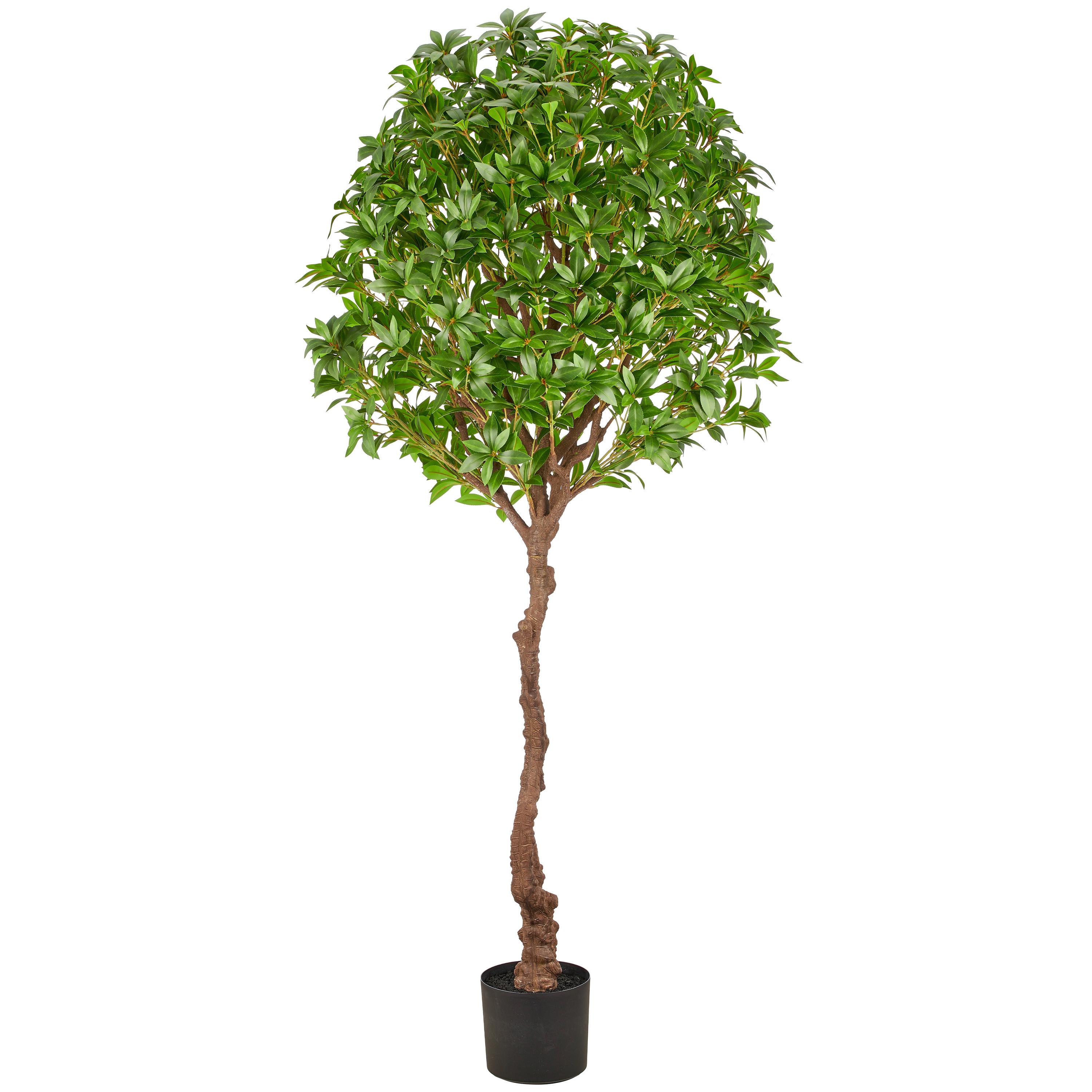 Kunstpflanze Pieris Japonica Grün/Braun/Schwarz - Schwarz/Braun, Basics, Kunststoff (190cm)
