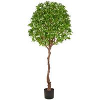 Kunstpflanze Pieris Japonica Grün/Braun/Schwarz - Schwarz/Braun, Basics, Kunststoff (190cm)