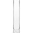 Váza Bubble - tiszta, üveg (5,5/30cm) - MÖMAX modern living