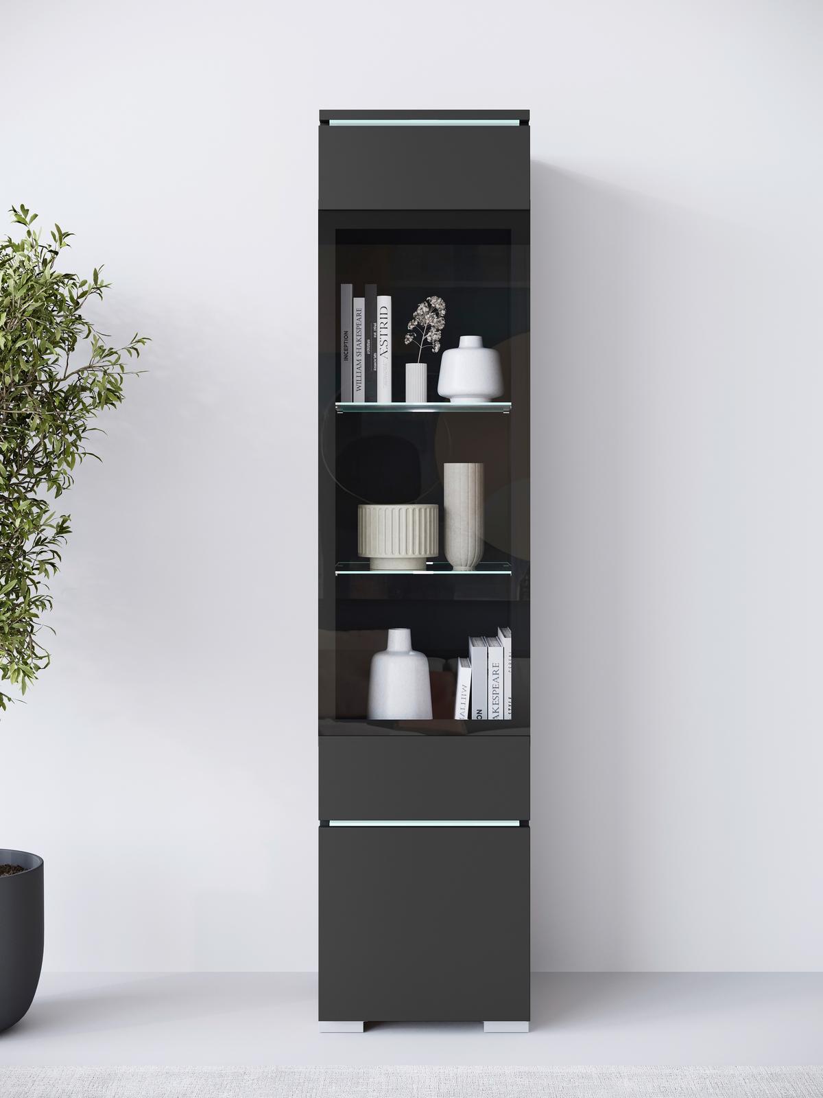 Vitrina Vera 002, Mat Črna - črna/siva, Design, umetna masa/steklo (30/130/33cm) - Livetastic