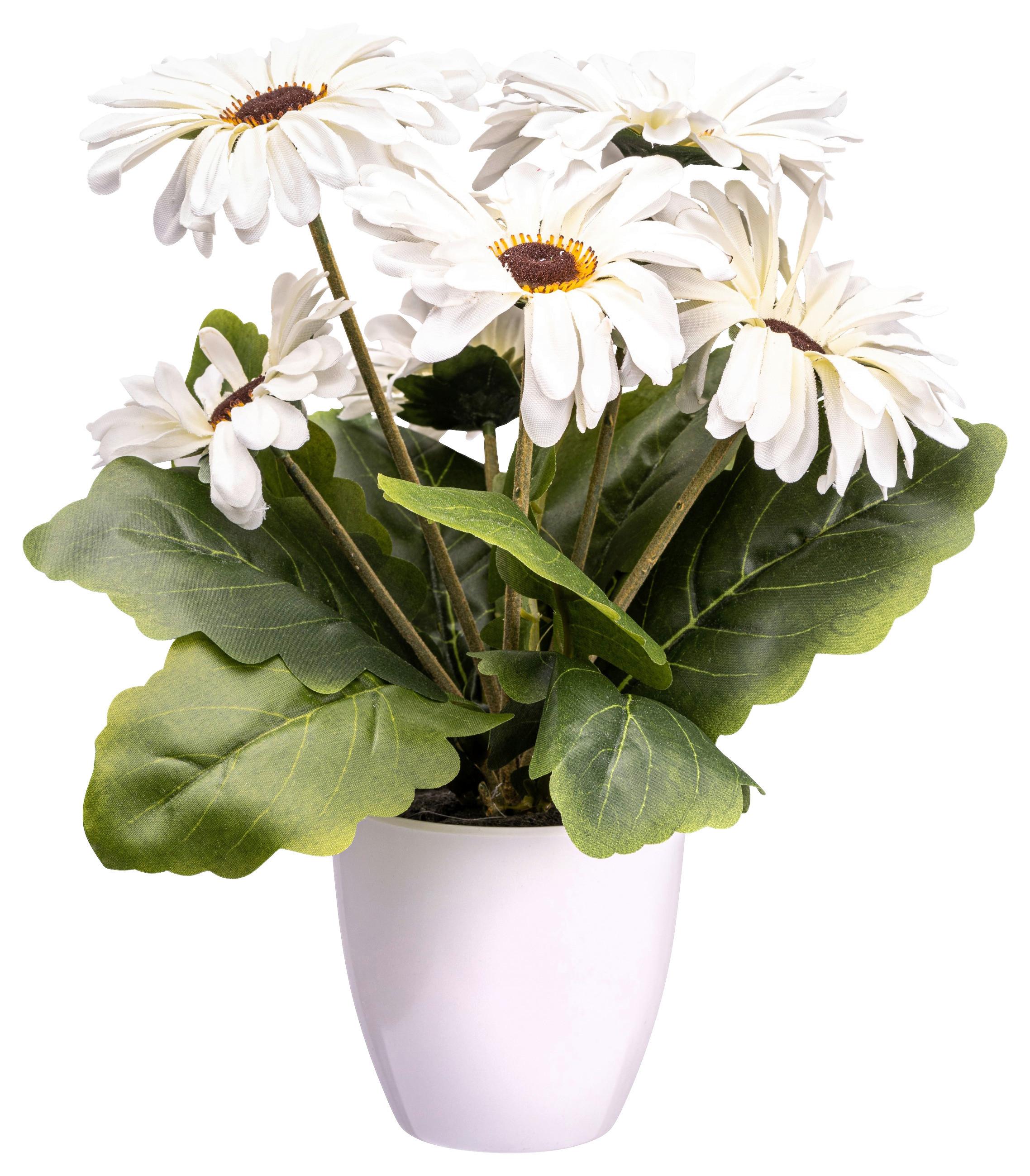 Kunstpflanze Gerberabusch I in Creme - Dunkelrosa/Creme, KONVENTIONELL, Kunststoff (27cm) - Modern Living