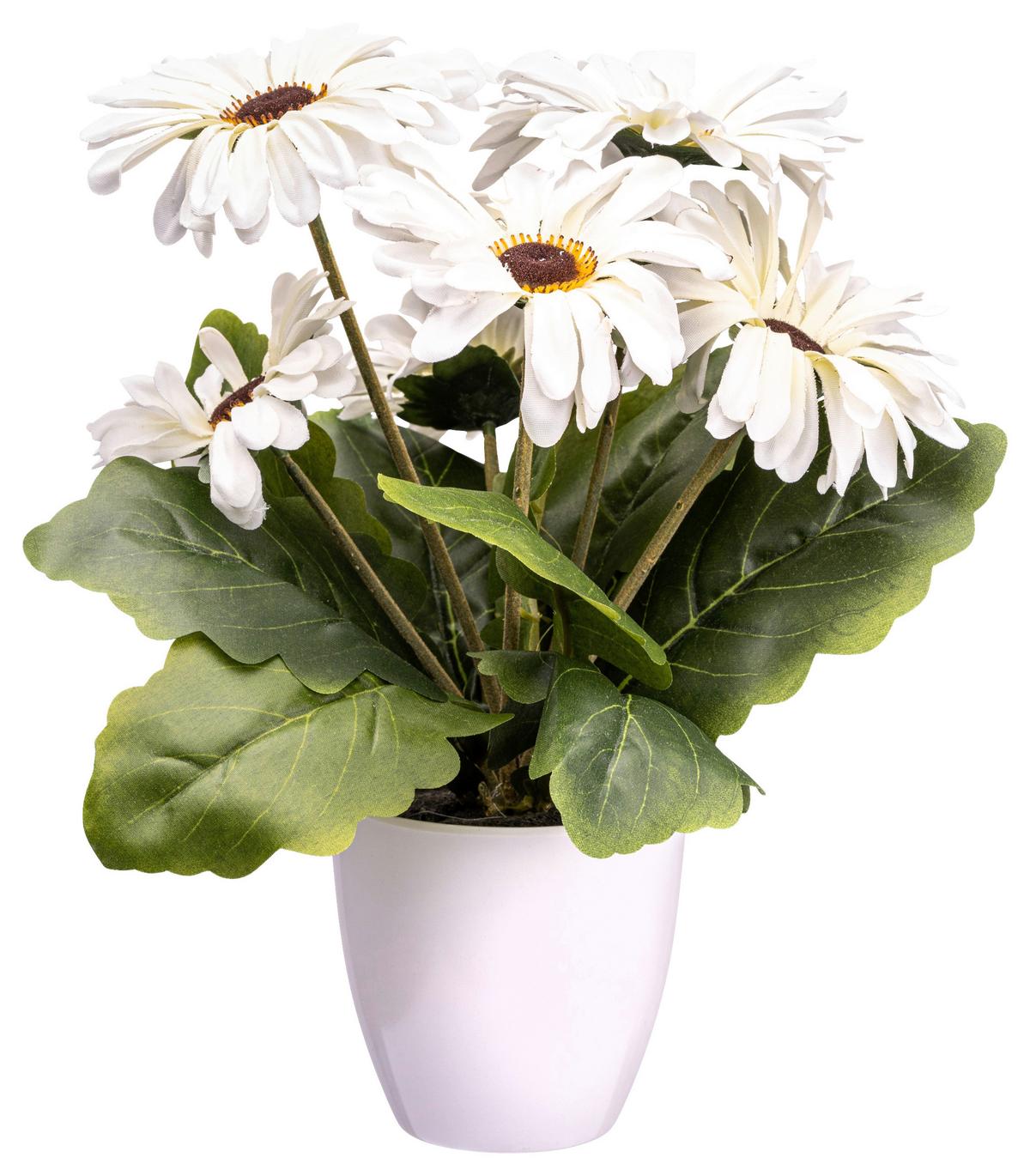 Kunstpflanze Gerberabusch I in Creme - Dunkelrosa/Creme, KONVENTIONELL, Kunststoff (27cm) - Modern Living