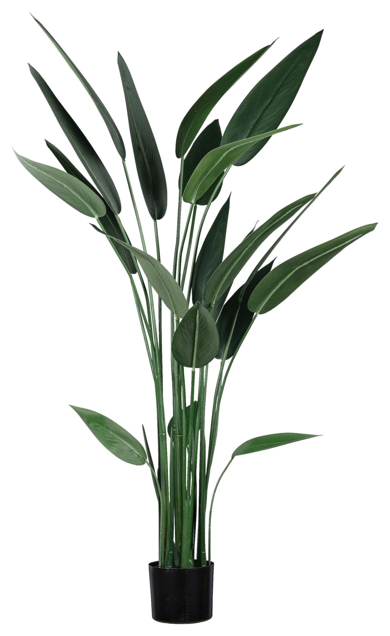 Kunstpflanze Wassercanna In Grün Ca. 140cm - Schwarz/Grün, Basics, Kunststoff (140cm) - Modern Living