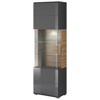 Vitrin Toledo - tölgyfa színű/antracit, Basics, faalapú anyag/Üveg (60/204/39cm)