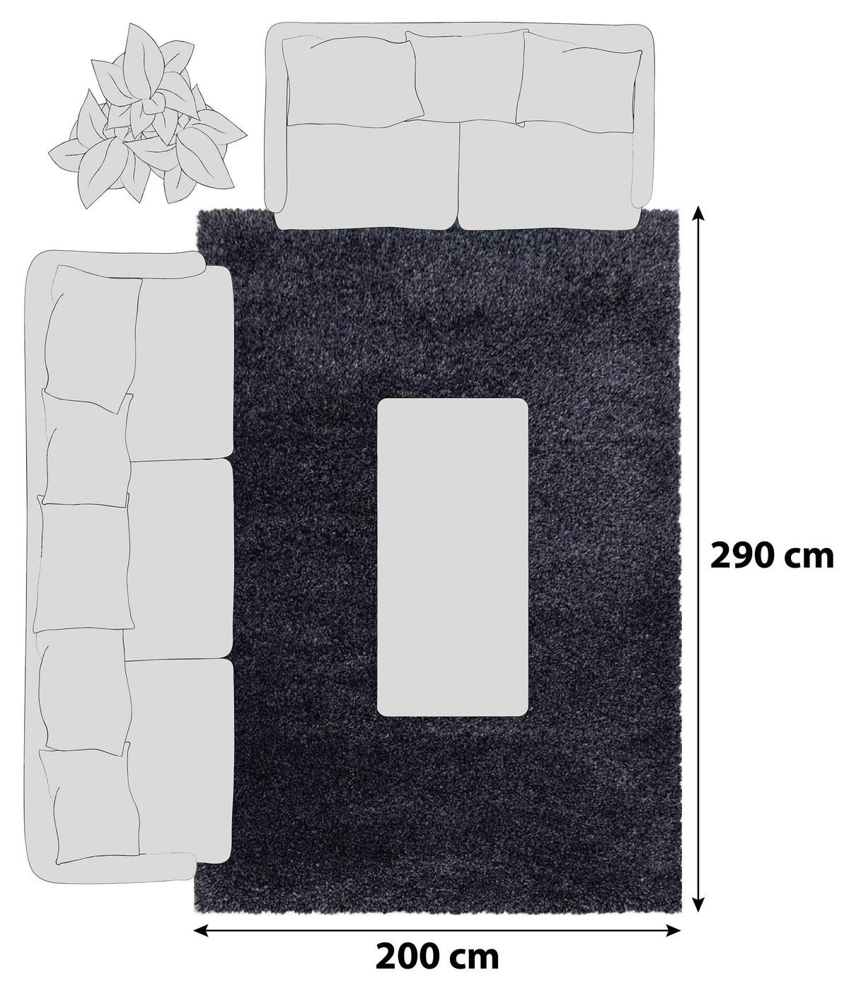Hochflorteppich Fluffy Anthrazit ca. 200x290cm - Anthrazit, Basics, Textil (200/290cm)