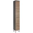 Hochschrank Eiche/Anthrazit - Chromfarben/Eichefarben, MODERN, Holzwerkstoff/Metall (30/187/31cm)