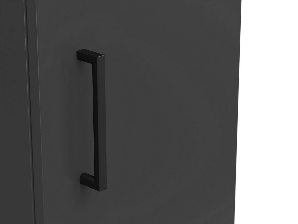 Schrank Multistauraum Graphitfarben - Graphitfarben/Schwarz, MODERN, Holzwerkstoff/Kunststoff (30/195/40cm) - Mömax