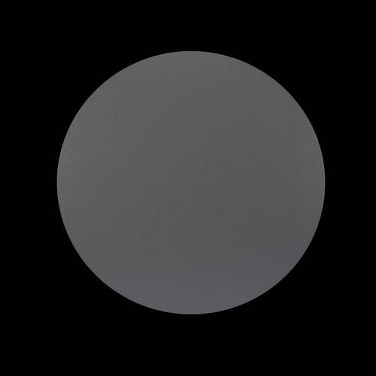 Außenwandleuchte Wald Graphitfarben max. 12 Watt - Graphitfarben, Trend, Metall (18/4cm) - MAYTONI