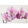 Tischset Orchidee Versch. Designs - Kunststoff (29/44cm) - Mömax modern living Tischset Orchidee Versch. Designs - Kunststoff (29/44cm) - Mömax modern living