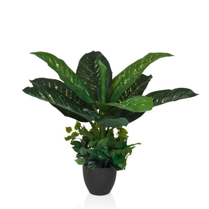 Umetna Rastlina Diefenbachia - črna/zelena, Moderno, umetna masa (42/80/33cm) - MID.YOU