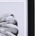 Bild Monstera Grau/Schwarz ca.30x40x1,7cm - Schwarz/Grau, MODERN, Kunststoff (30/40/1,7cm) - Bessagi Home Bild Monstera Grau/Schwarz ca.30x40x1,7cm - Schwarz/Grau, MODERN, Kunststoff (30/40/1,7cm) - Bessagi Home