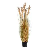 Kunstpflanze Sorghum Grass Hellbraun - Hellbraun/Schwarz, Basics, Kunststoff (110cm)