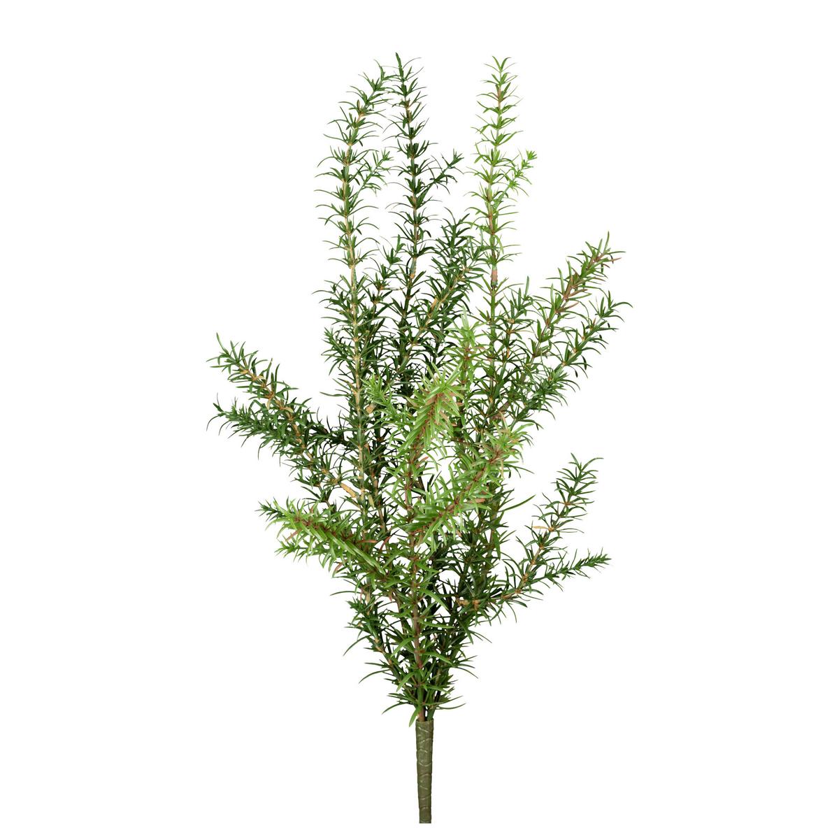 Plantă artificială ROSMARIN II -PAZ- - verde, Konventionell, plastic (60cm) - Modern Living