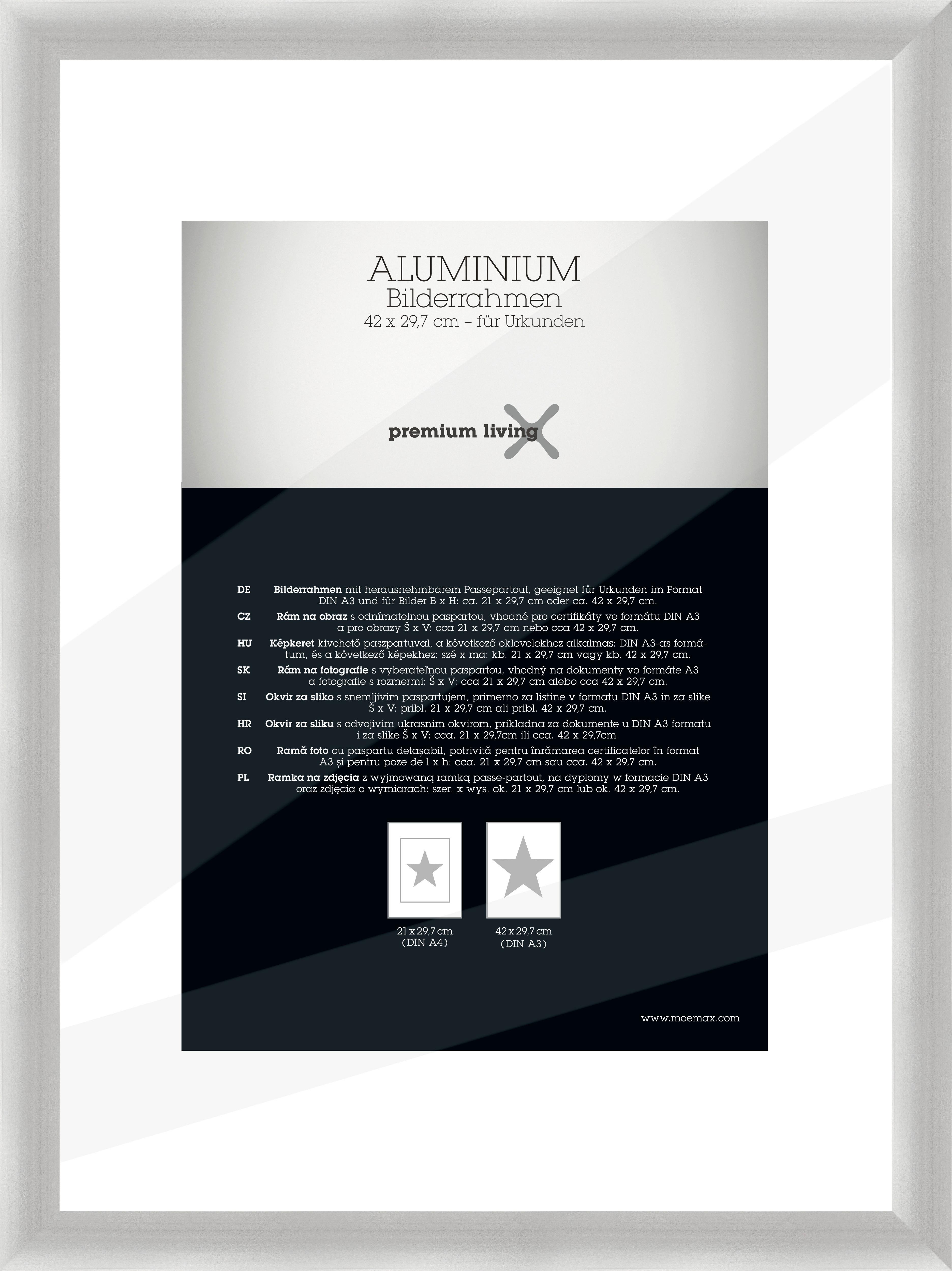 OKVIR ZA SLIKE ALUMINIUM - srebrne boje, Basics, metal (32,8/45,1/2.2cm) - Premium Living