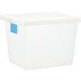 Škatla S Pokrovom Mathias - prosojna, Konvencionalno, umetna masa (41/33/30cm) - MÖMAX modern living