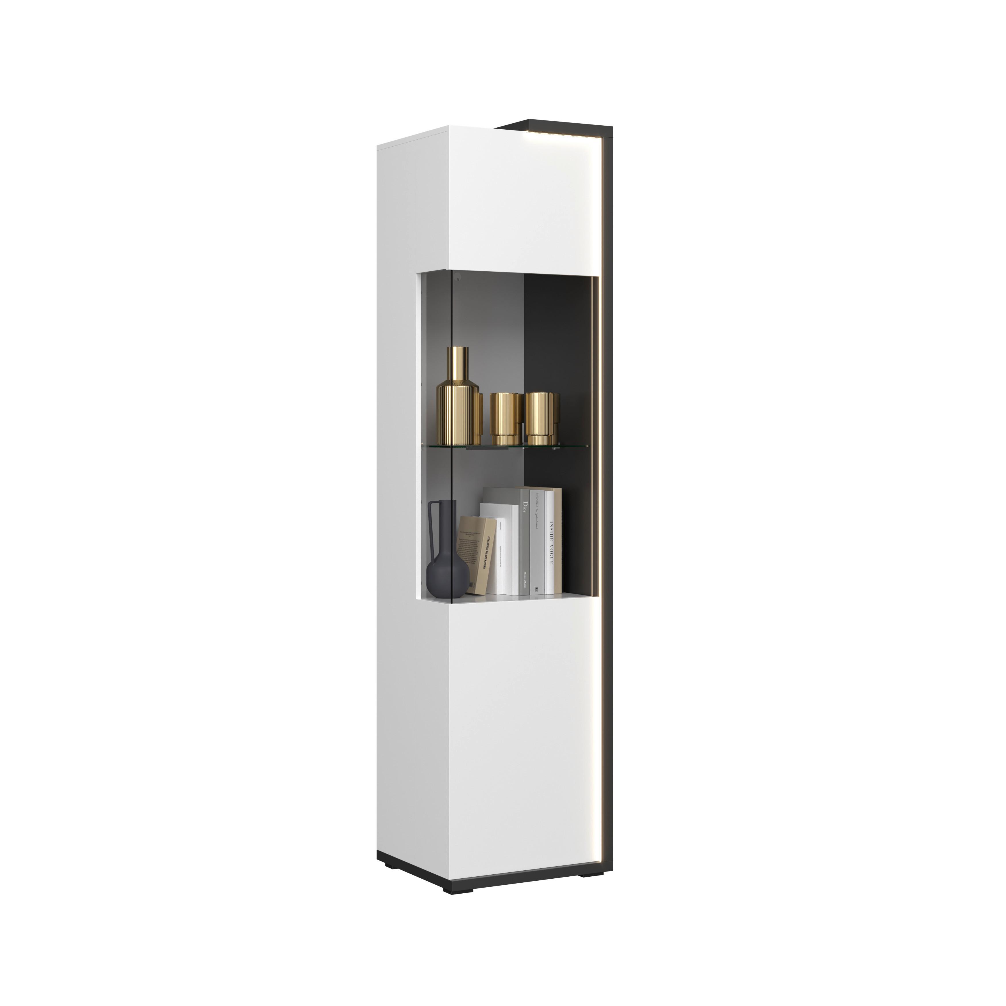 Vitrina Ambiente Plus - bela visoki sjaj/bela, Moderno, staklo/pločasti materijal (48,5/199,1/43,6cm) - Modern Living