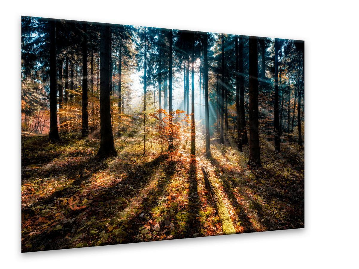 Glasbild Vetro ca. 70x100cm - Multicolor, Glas/Papier (100/70cm) - Modern Living