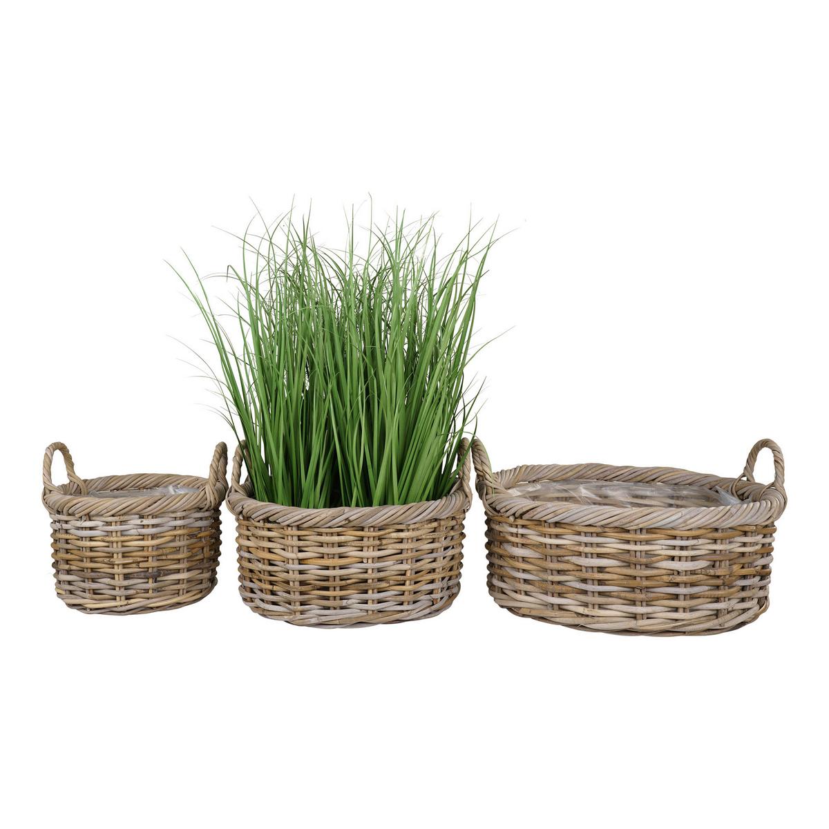 Korbset Kuta Baskets Hellbraun - Hellbraun, Basics, Holz (50/28/50cm)