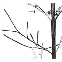 LED-Dekoleuchte Tree Schwarz max. 2,5 Watt - Schwarz/Weiß, MODERN, Kunststoff/Metall (175cm) - Mömax