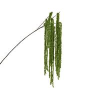 Biljka Umjetna Nada - zelena, Basics, plastika (5/15/80cm)