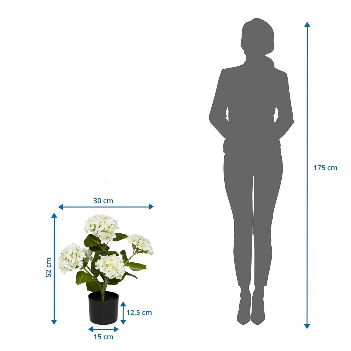 Umetna Rastlina Hydrangea - črna/zelena, Moderno, umetna masa (30/52/30cm) - MID.YOU