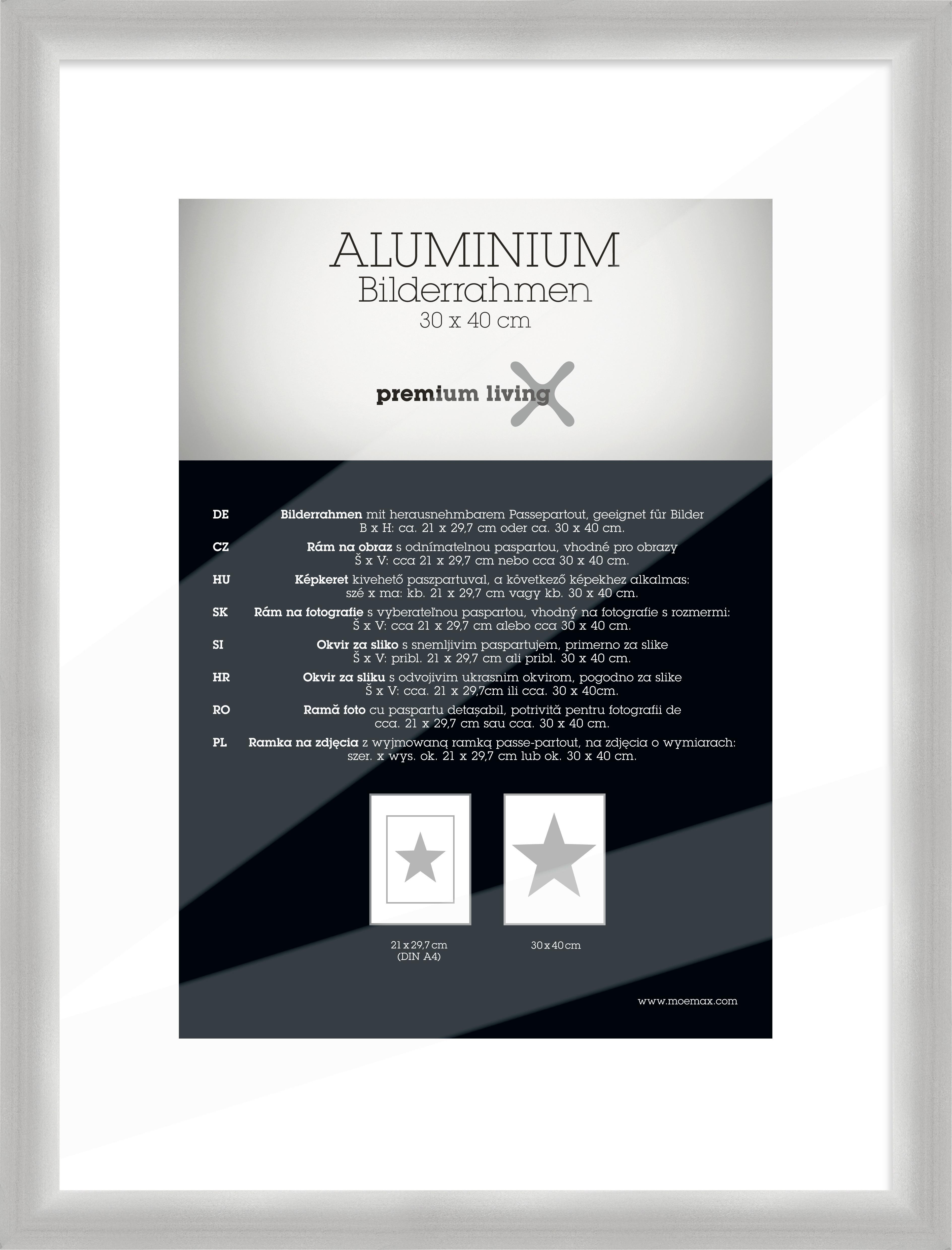 Okvir Za Slike Aluminium - srebrne barve, Basics, kovina (33,1/43,1/2.2cm) - Premium Living
