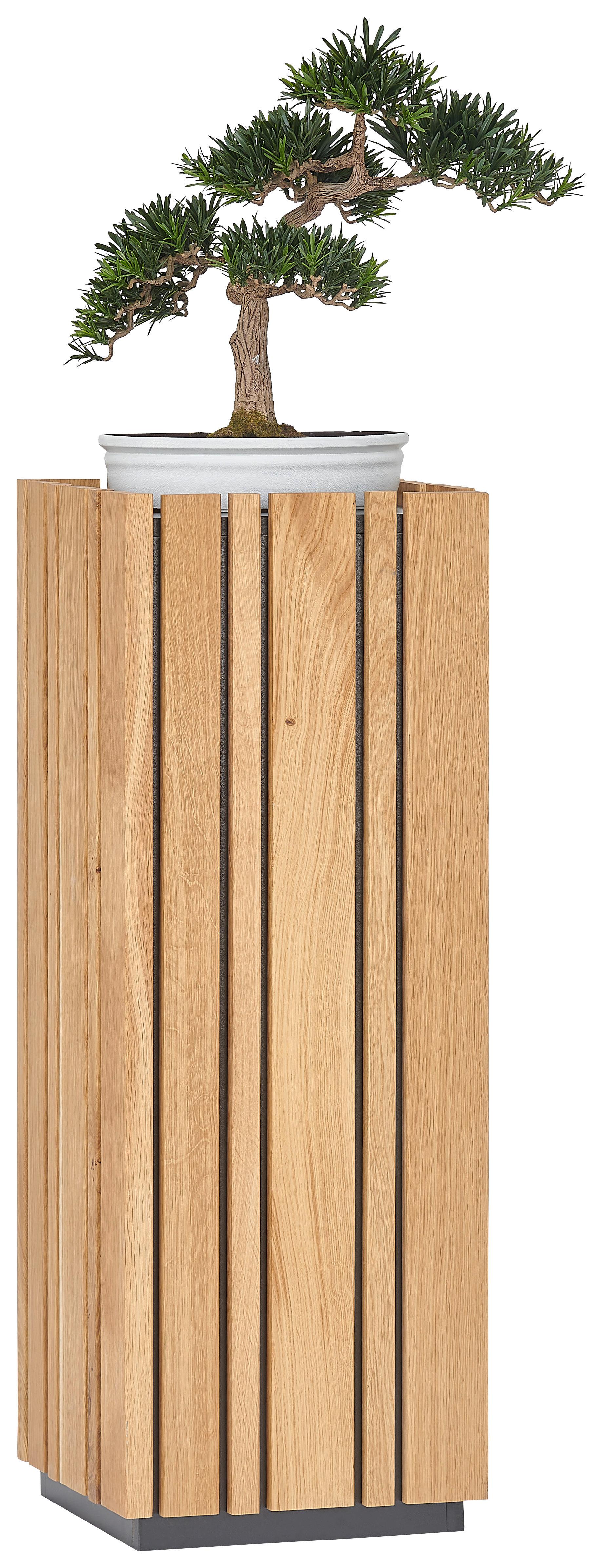 KWIETNIK SIGNE - kolor dębowy, Design, materiał drewnopochodny/drewno (31,5/90/31,5cm) - Linea Natura