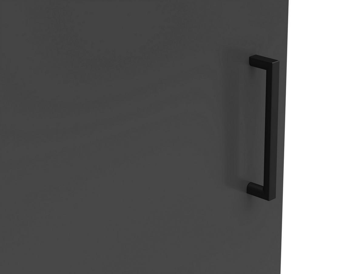 Komoda Multi - boje grafita/crna, Moderno, drvni materijal/plastika (45/83/40cm) - Modern Living