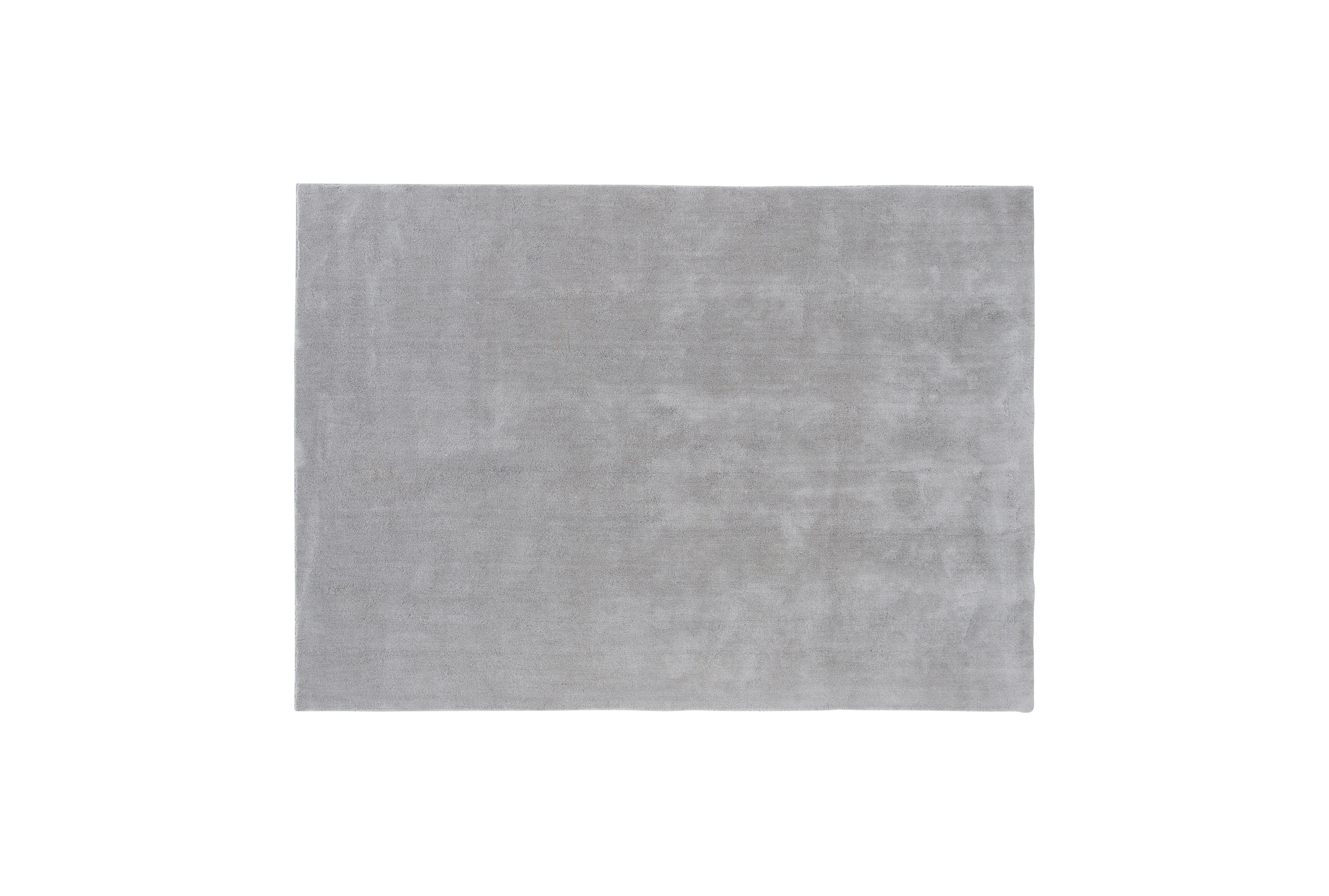 HOCHFLORTEPPICH UNDRA - Hellgrau, LIFESTYLE, Textil (170/240cm) - P & B