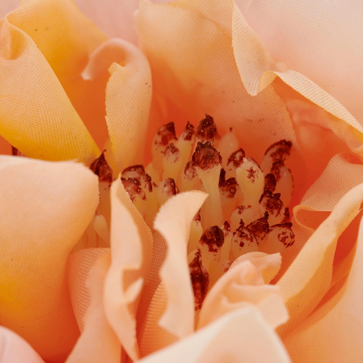 Rose Rosa ca. 63cm - Rosa/Grün, Basics, Kunststoff/Textil (63cm) - Mömax