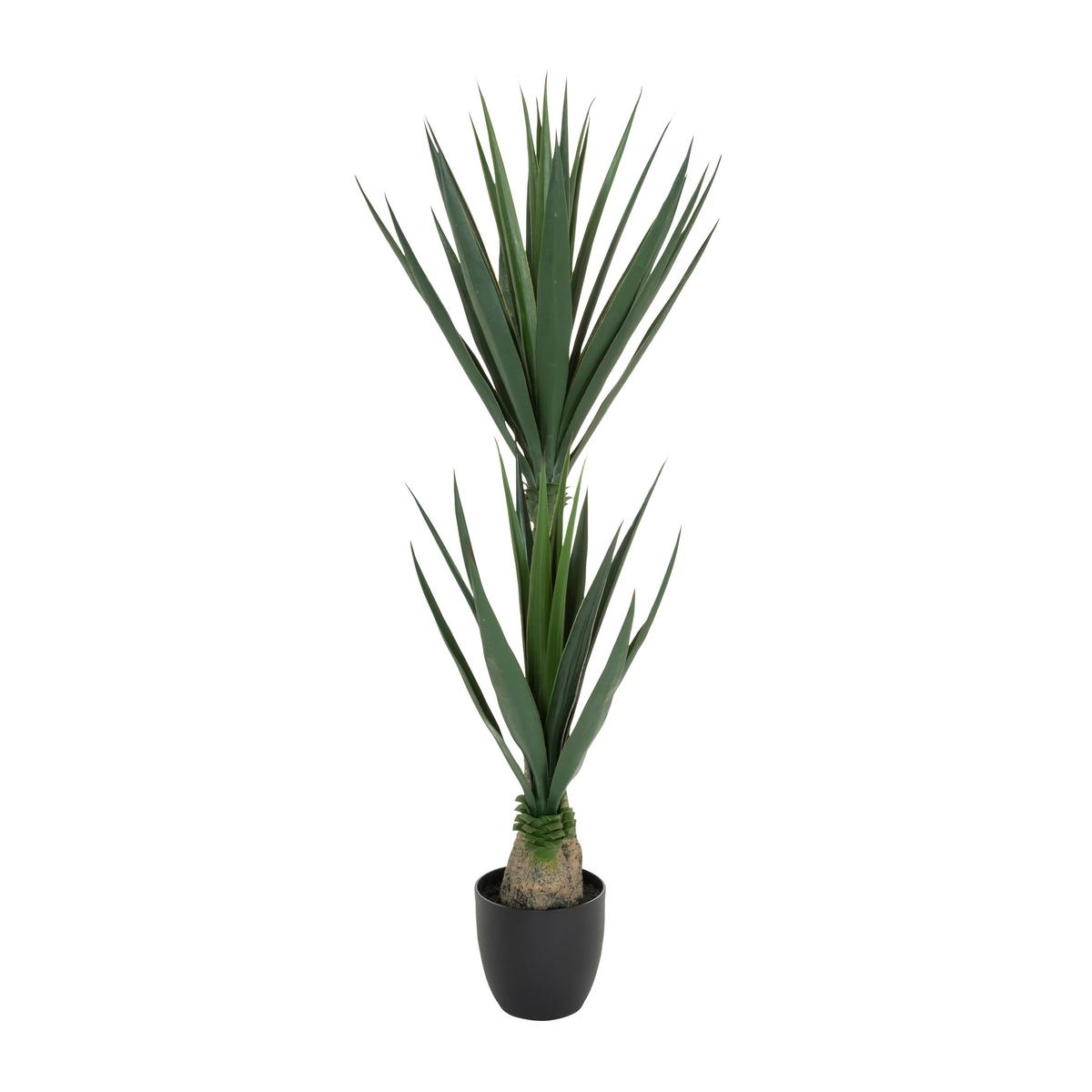 Umetna Rastlina Yucca - črna/zelena, Basics, umetna masa (50/135/50cm) - MID.YOU