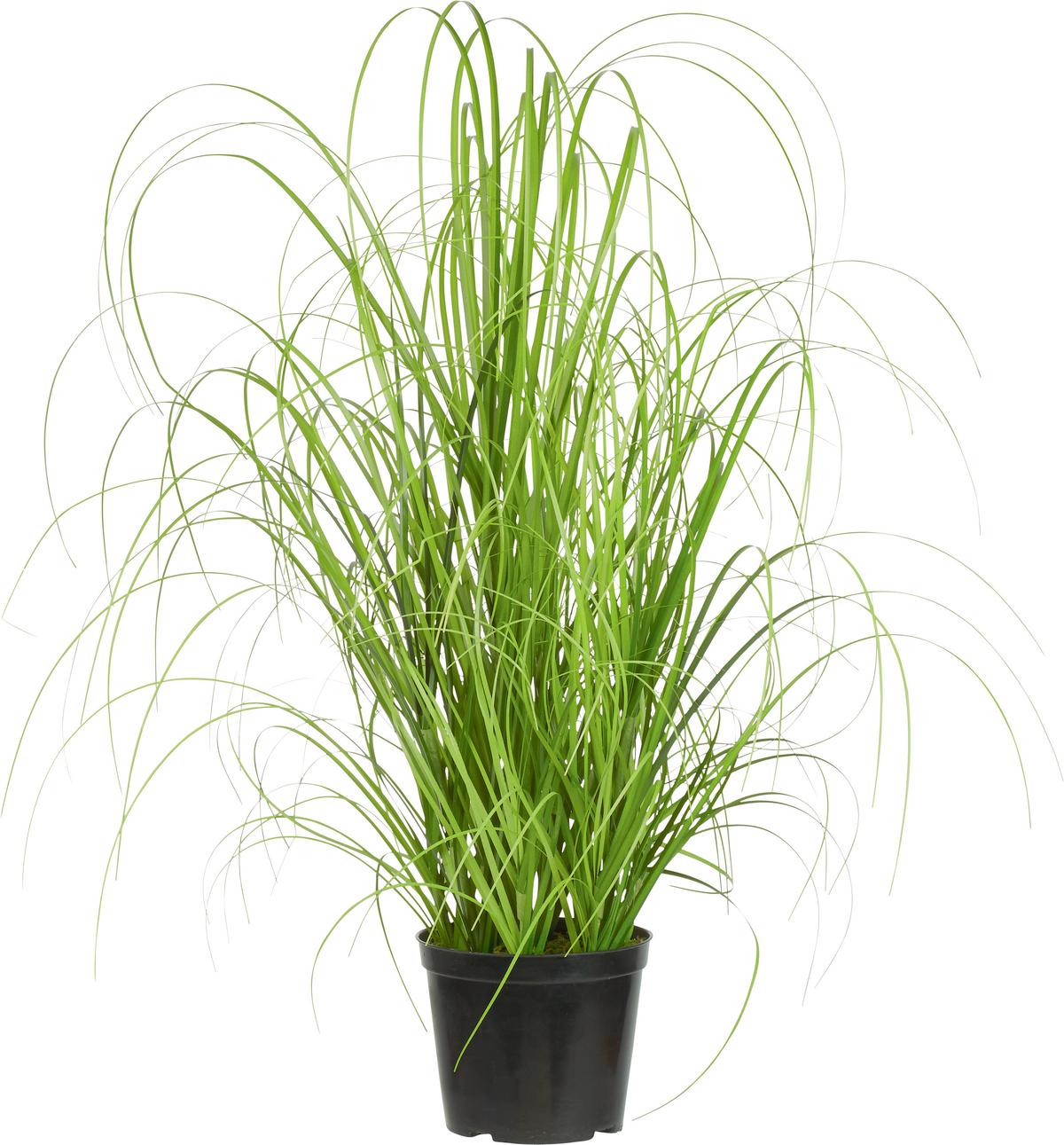 Grasbündel Patrick aus Polyester ca. 40cm - Grün, Textil (40cm) - Modern Living