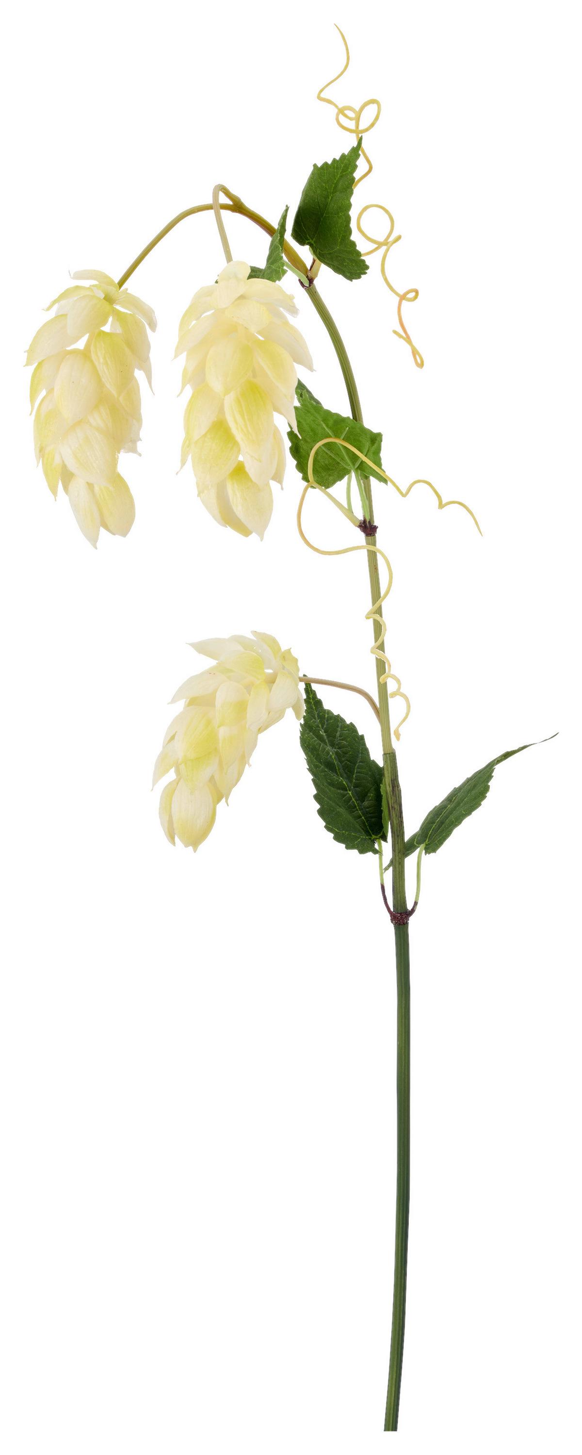 Umetna Rastlina Hopfen I -Paz- - bela/zelena, Basics, kovina/umetna masa (107cm) - Mömax