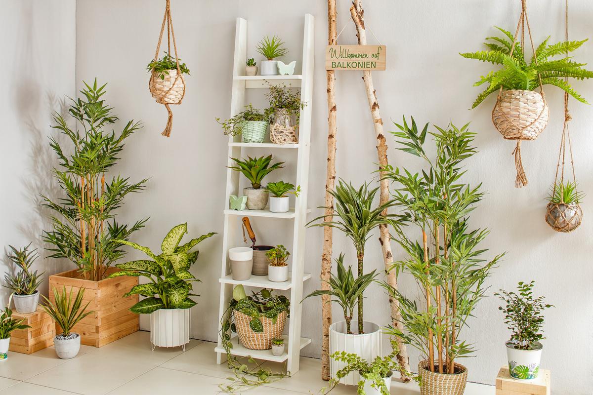 Regal in Weiß mit 5 Fächer - Weiß, KONVENTIONELL, Holz/Holzwerkstoff (41,4/176/34,2cm) - Mömax