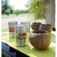 Kerze Kaia in Braun/creme - Creme/Braun, Weitere Naturmaterialien (11/8cm) - MODERN LIVING