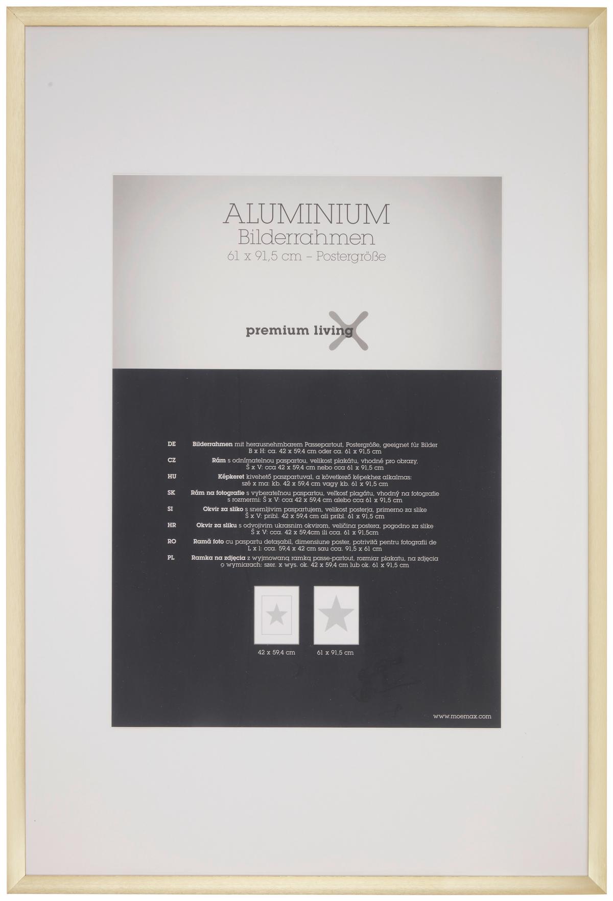 Bilderrahmen Aluminium in Goldfarben - Messingfarben/Goldfarben, ROMANTIK / LANDHAUS, Metall (64,3/94,6/2.2cm) - Premium Living