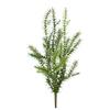 Umjetna Biljka Rosmarin - zelena, Konvencionalno, plastika (60cm) - Modern Living