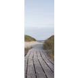 Glasbild Hidden Path, ca. 30x80x2cm - Multicolor, MODERN, Glas (30/80/2cm) - Mömax modern living