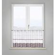 Kratka Zavesa Anita - siva, Konvencionalno, tekstil (50/145cm) - Mömax modern living Kratka Zavesa Anita - siva, Konvencionalno, tekstil (50/145cm) - Mömax modern living