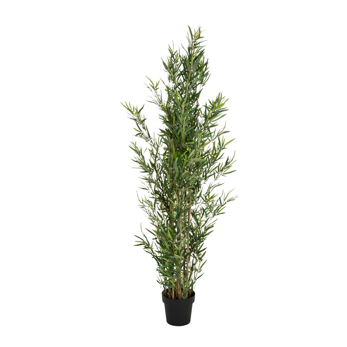 Umetna Rastlina Bambus - črna/zelena, Basics, umetna masa/tekstil (70/165/70cm) - MID.YOU